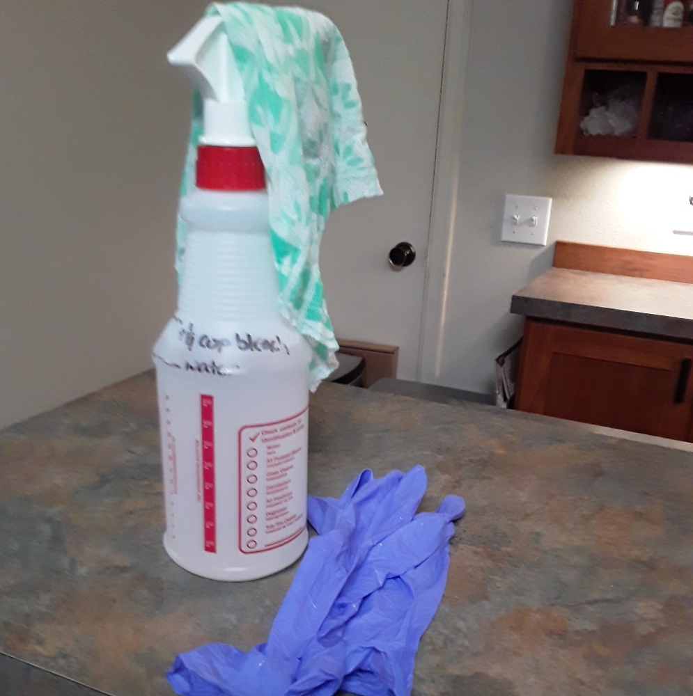 My house is wiped down with bleach daily